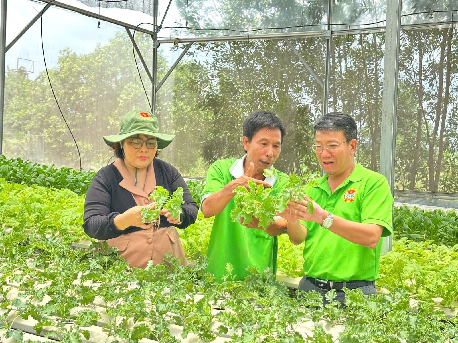 Trạm 3 · hái rau