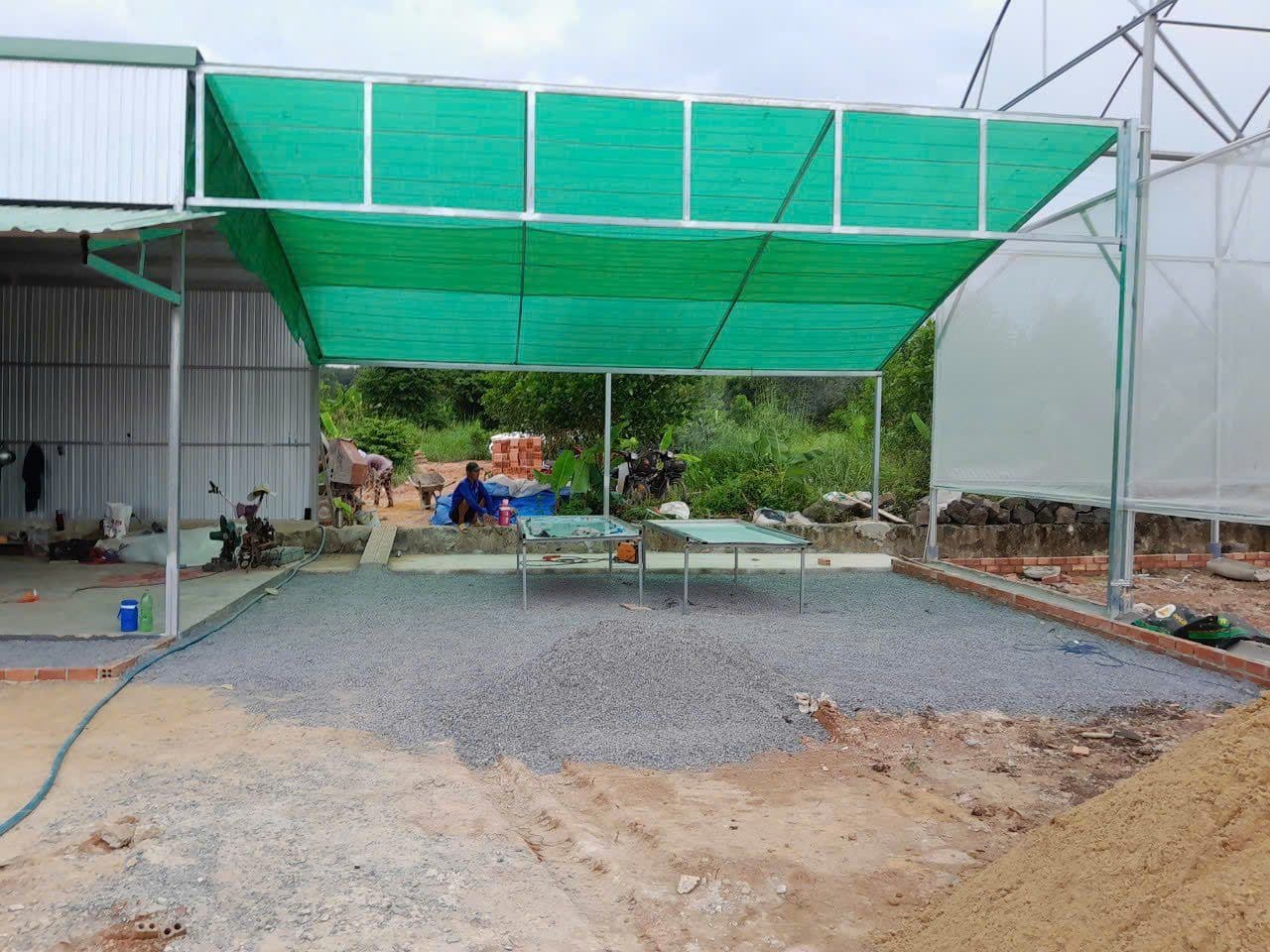 Ổi Vĩnh Tân