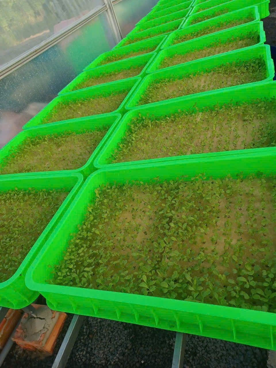 Trạm 1 · gieo hạt vào rọ